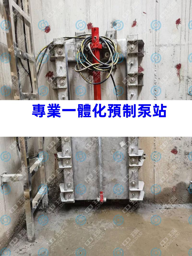專業一體化預制泵站