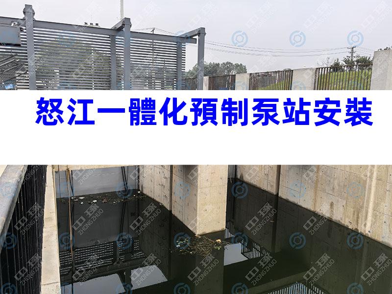 怒江一體化預制泵站安裝