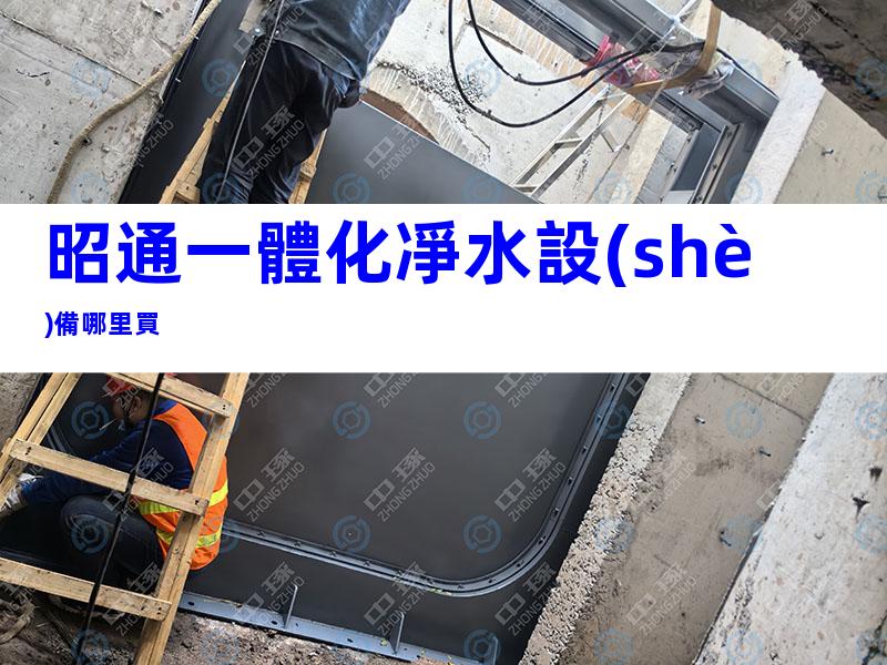 昭通一體化凈水設(shè)備哪里買