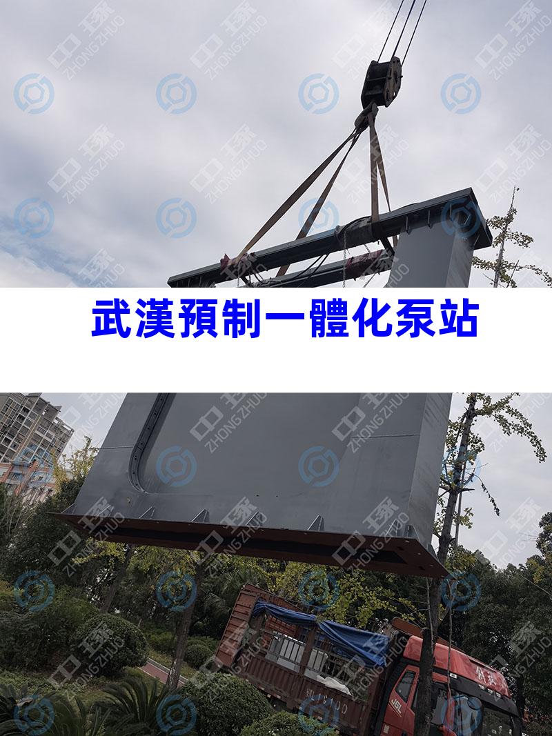 武漢預制一體化泵站